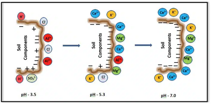 Figure2. Influence of pH on the surface charge of soil and its components.